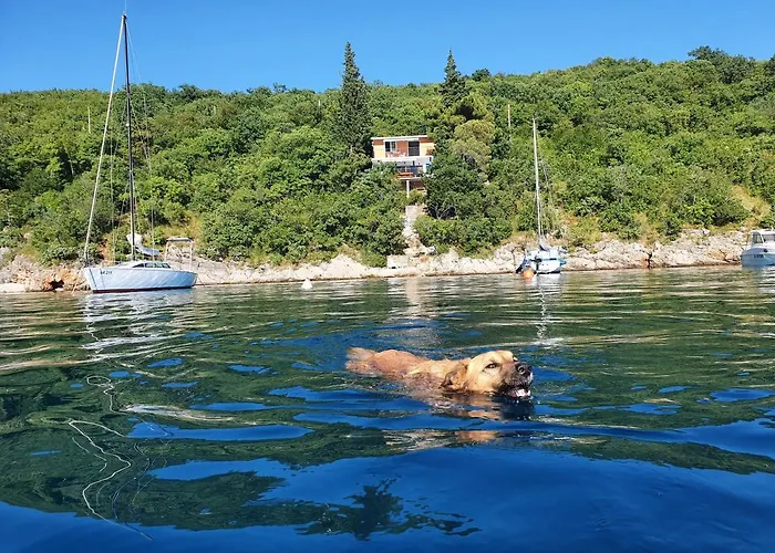 Sea House Bassi Tatil Evi Kraljevica